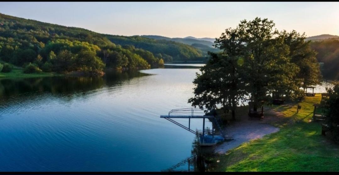 Vila Tea Borsko Jezero Villa Eksteriør bilde