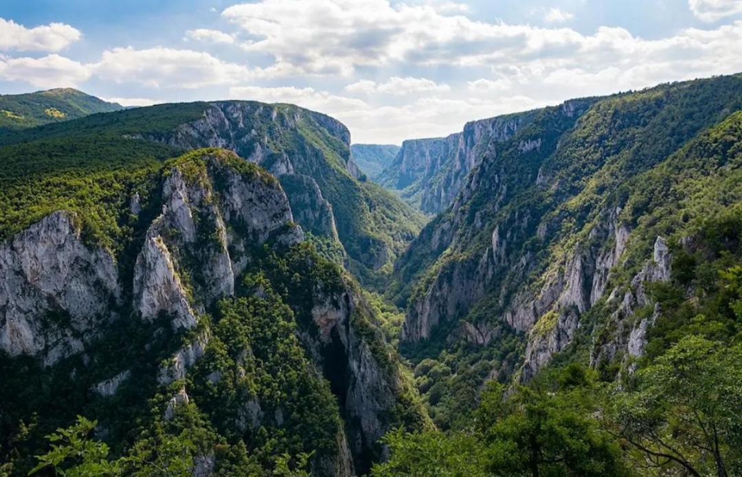 Vila Tea Borsko Jezero Villa Eksteriør bilde